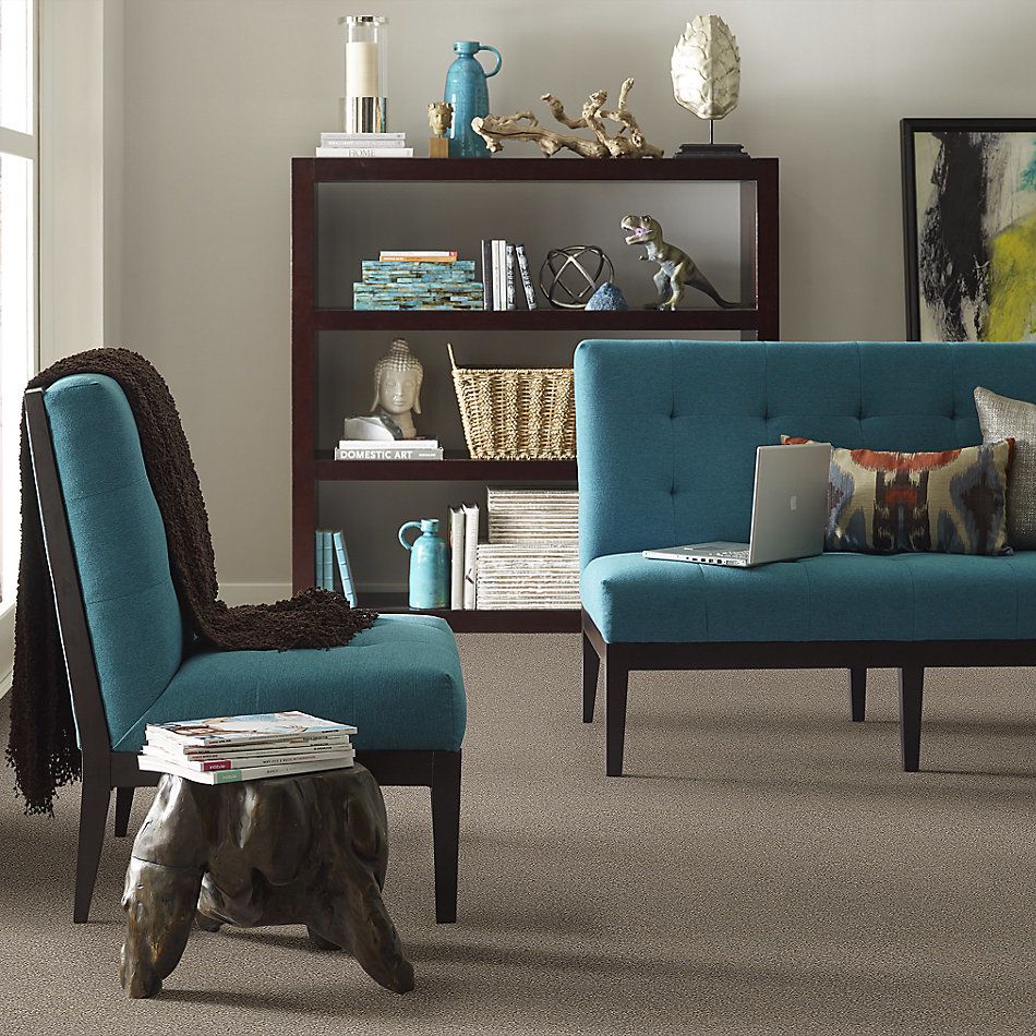 Shaw Floors Value Collections Montage II Net Midtown Brown 720T_5E099