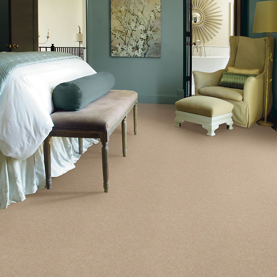 Shaw Floors SFA Fyc Ns II Net Walk On The Beach (s) 721S_5E019