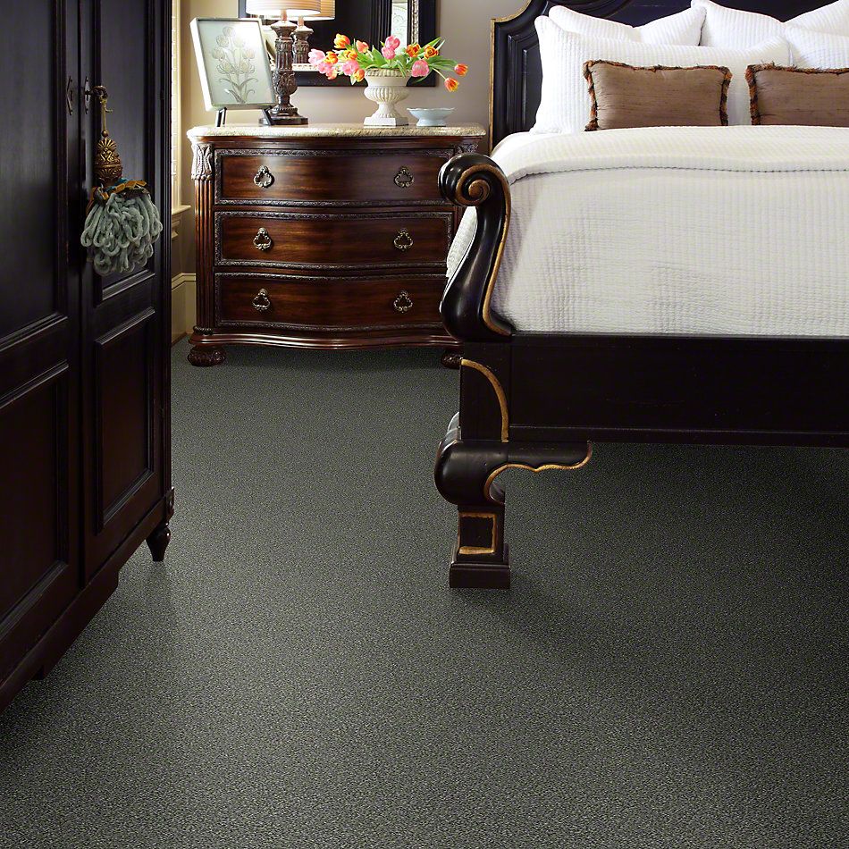 Shaw Floors Simply The Best Attainable Cedar Ridge 721T_E9965