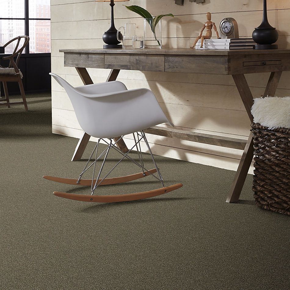 Shaw Floors Simply The Best Attainable Net Fox Hollow 722T_5E094
