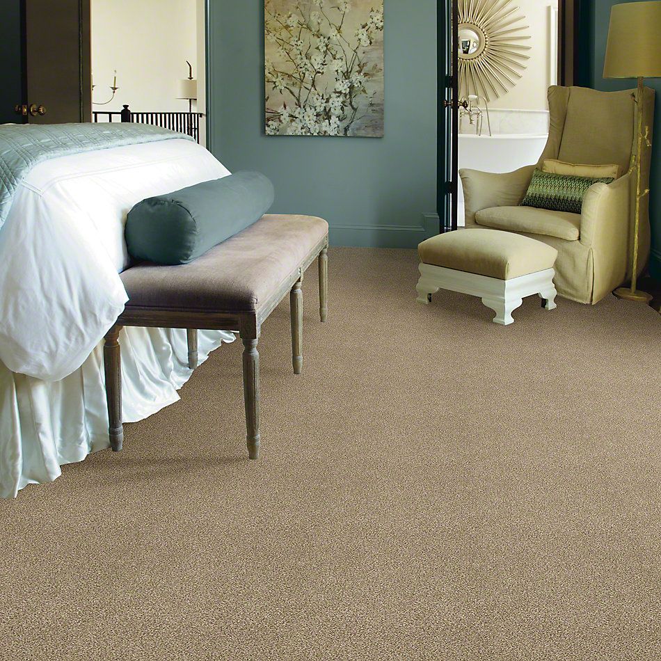 Shaw Floors SFA Find Your Comfort Tt I Honey Tea (t) 750T_EA817