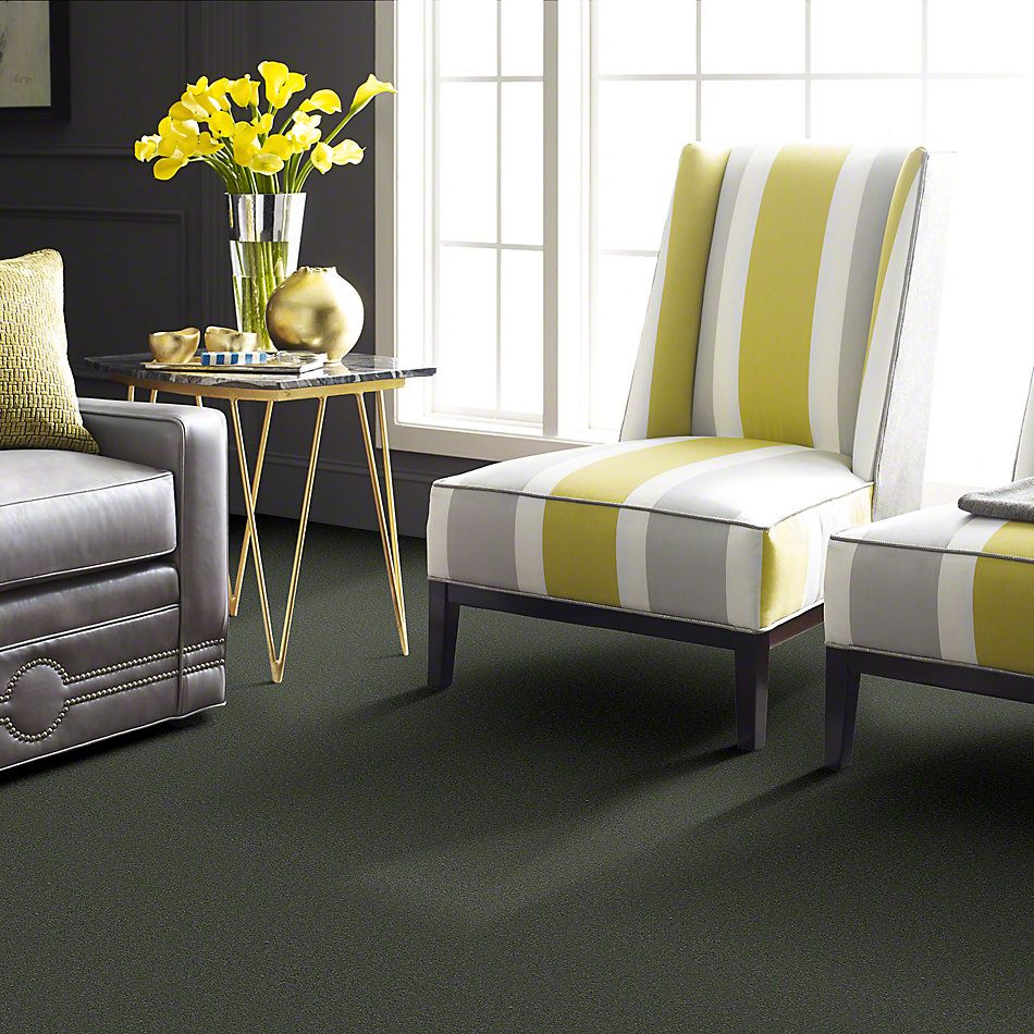 Shop Philadelphia Commercial Emphatic 30 Dried Sage 79341 50178 Carpet Metro Flooring Design