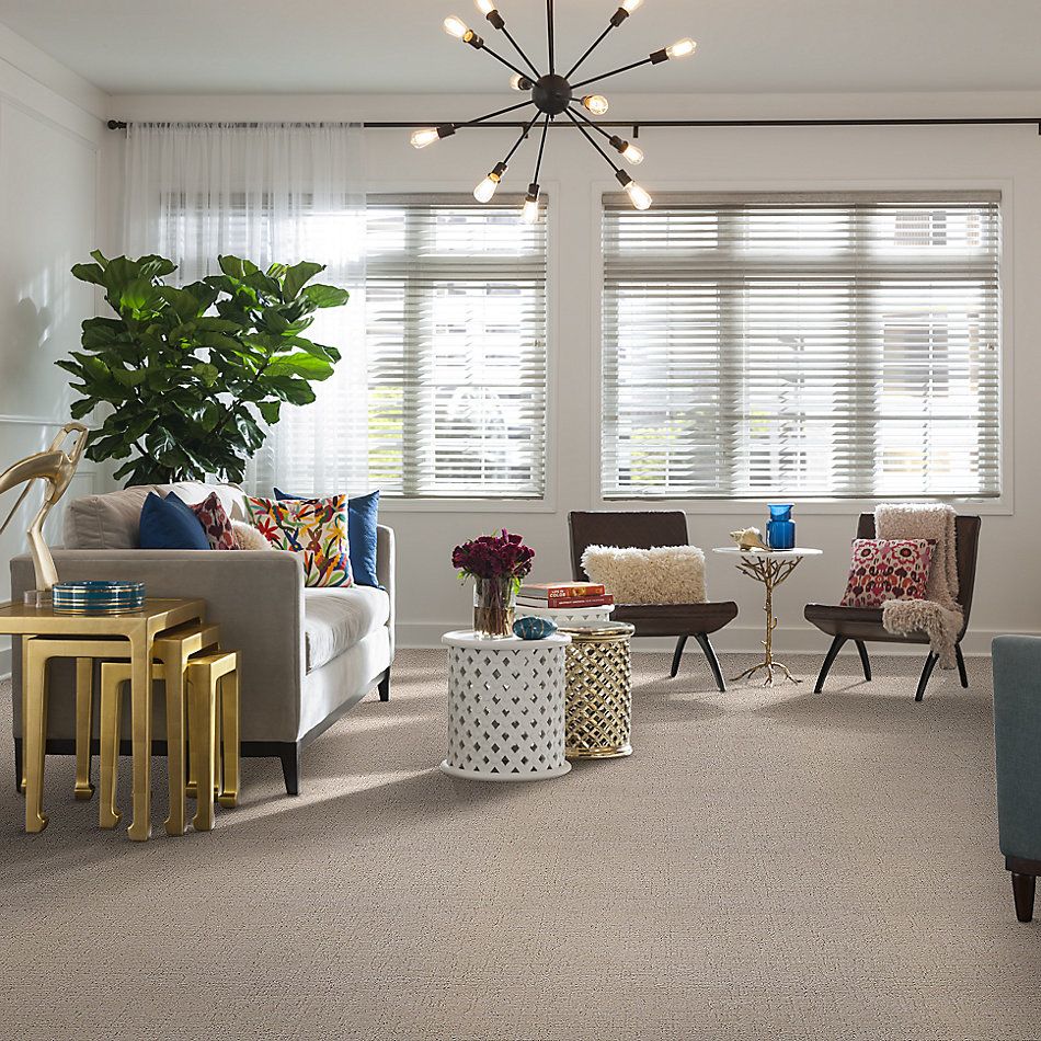 Shaw Floors SFA Creating Memories Net Subtle Blush 800P_5E027