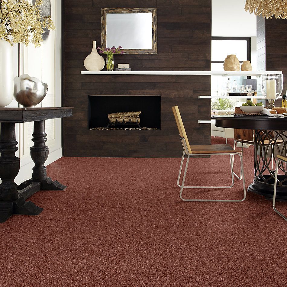 Shaw Floors SFA Fyc Tt II Net Serene Sunset (t) 804T_5E022