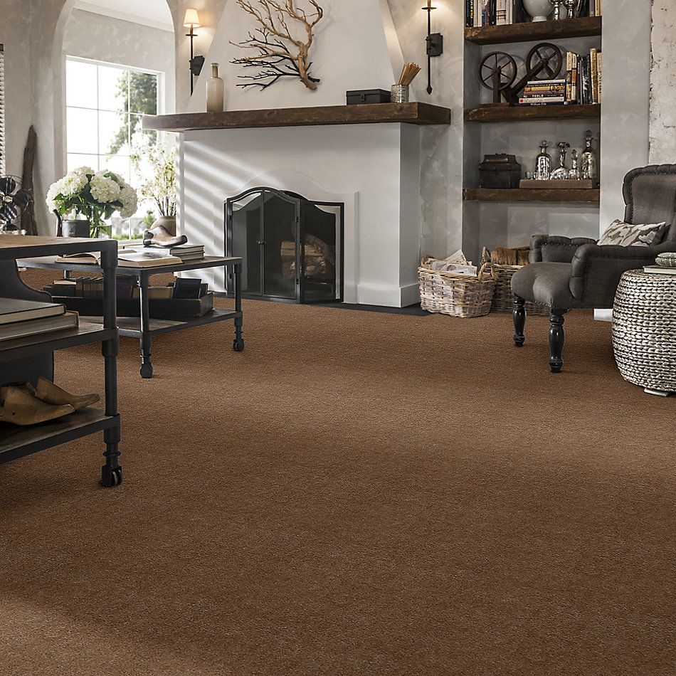 Shaw Floors Carpets Of Distinction Diamond Bar Chutney 81751_57081