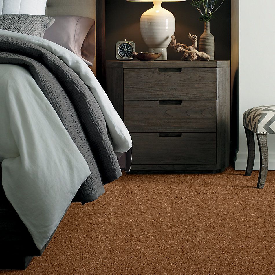 Shaw Floors Blazer II Suede 88710_A3988