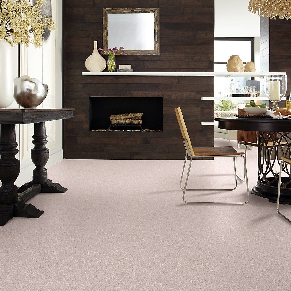 Shaw Floors SFA Fyc Ns I Net Evening In Paris (s) 900S_5E018