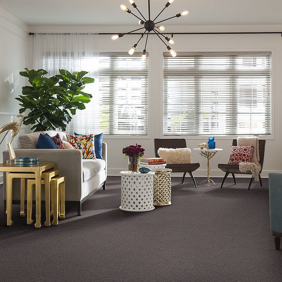 Shaw Floors SFA Fyc Ns Blue Net Lilac Field (s) 901S_5E020