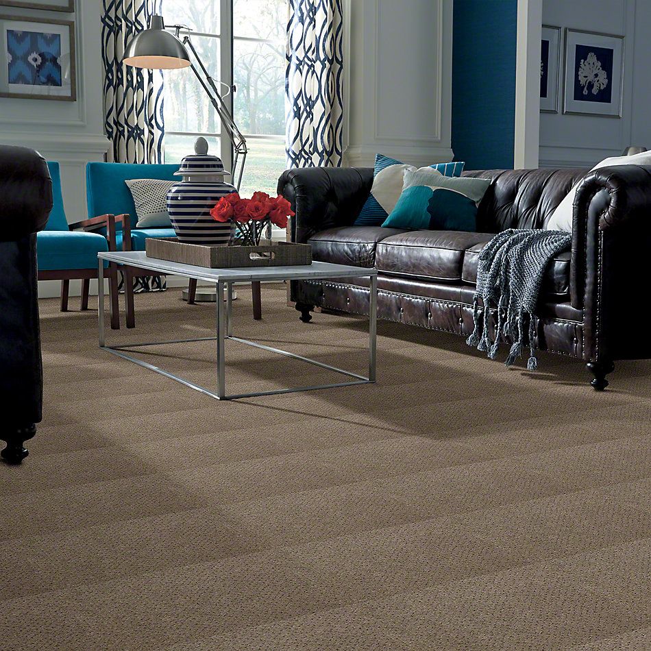 Philadelphia Commercial Next Generation Driftwood 54097_97552