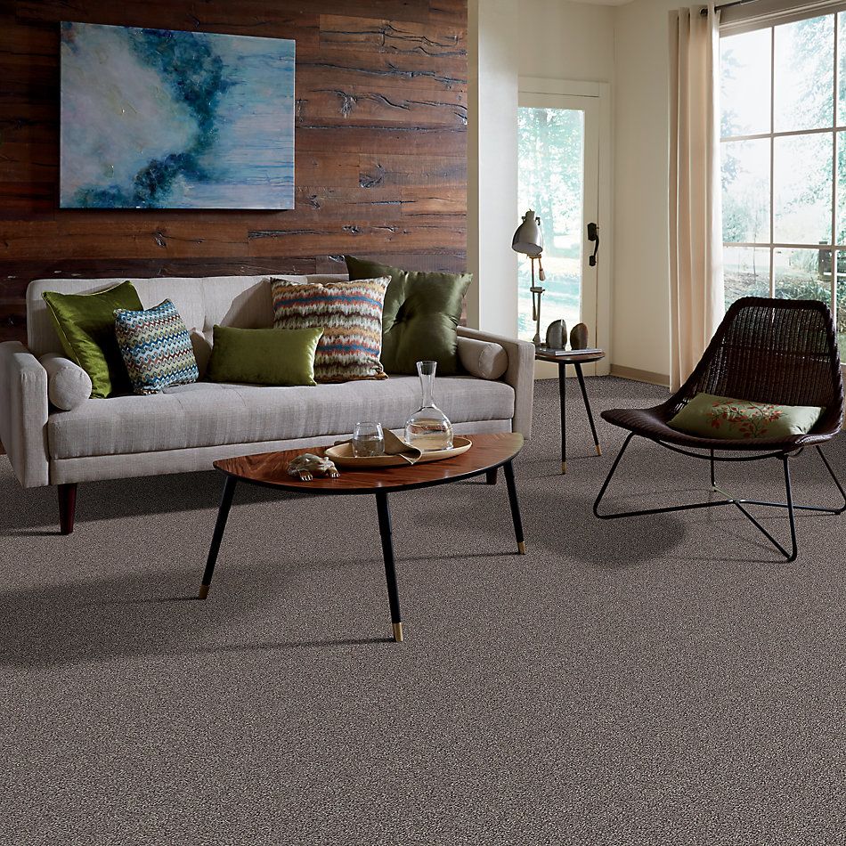 Shaw Floors Simply The Best Back At It Falling Ash 98531_E9498