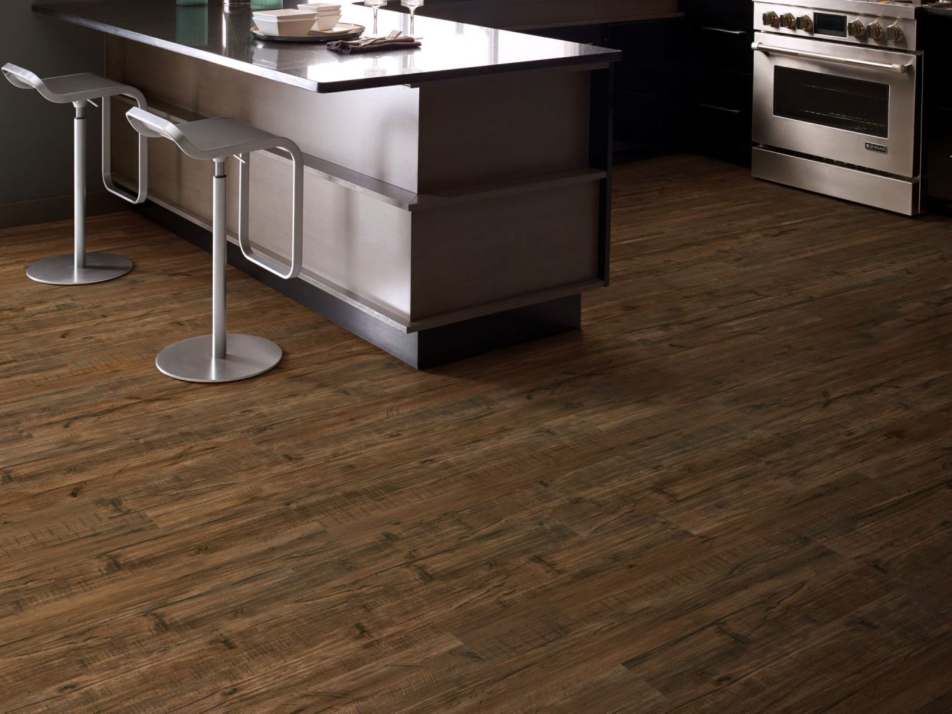 Shaw Floors Dr Horton Cosmo Plank Parma 00734_DR001
