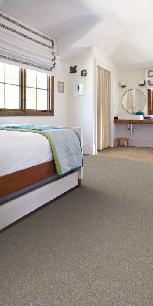 Shaw Floors Something Sweet Sterling 00500_E0881