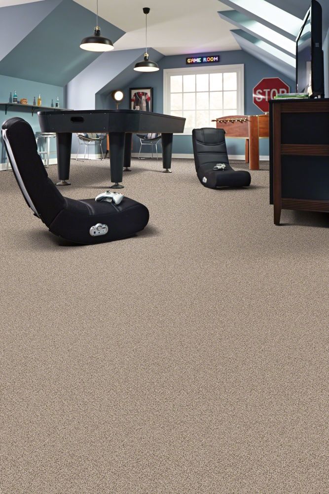 Shaw Floors Foundations Elemental Mix III Net Gentle Rain 00171_E9679