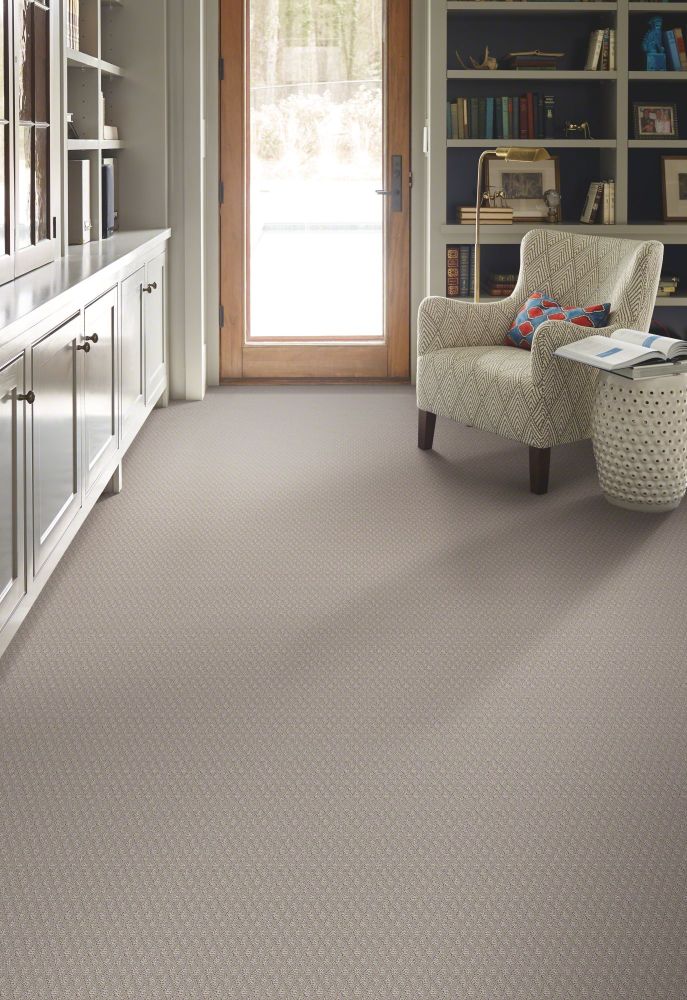 Shaw Floors Foundations Entwined With You Net Silhouette 00570_E9809