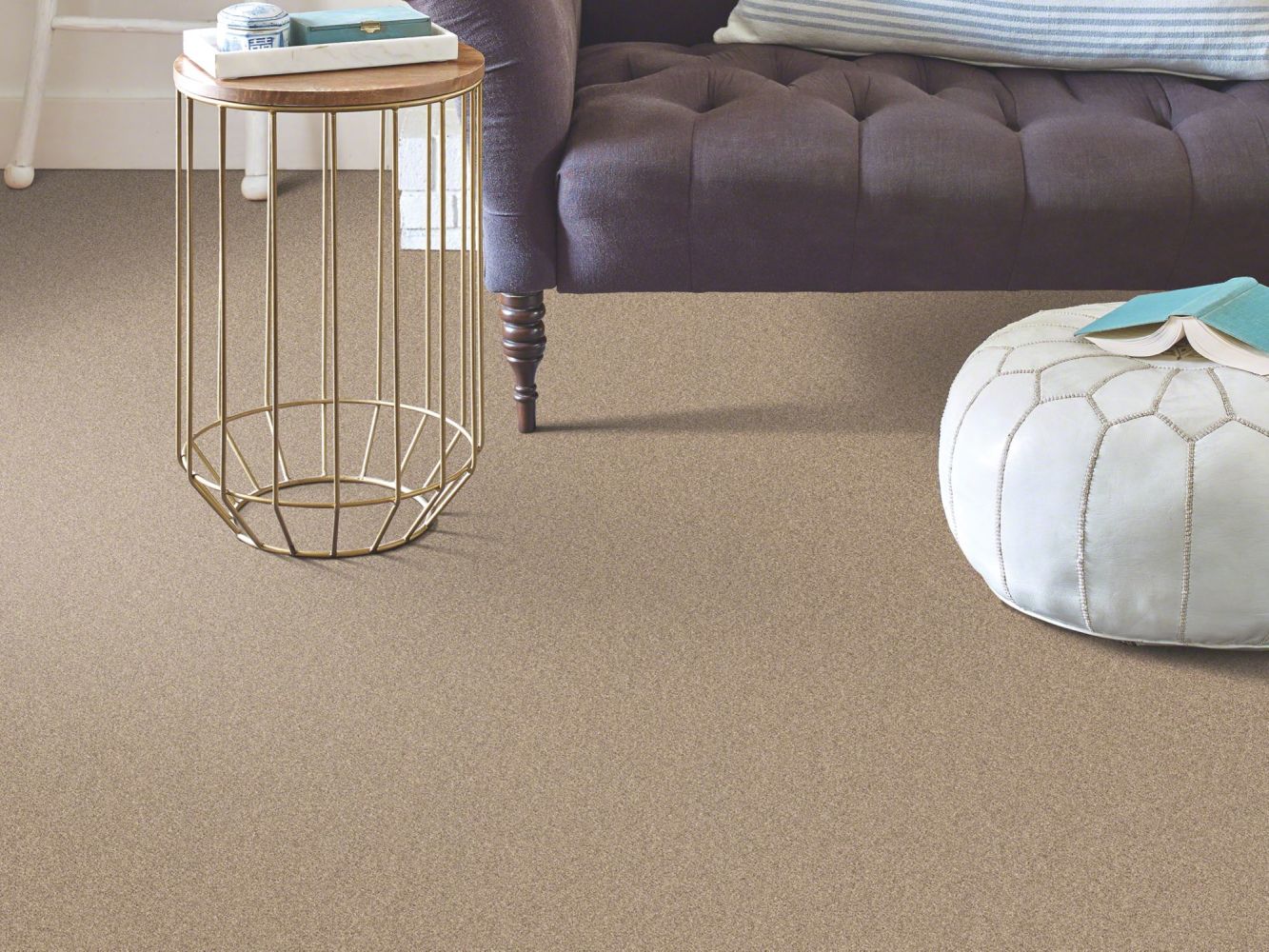 Shaw Floors Simply The Best Momentum II Canyon Buff 700S_E9968