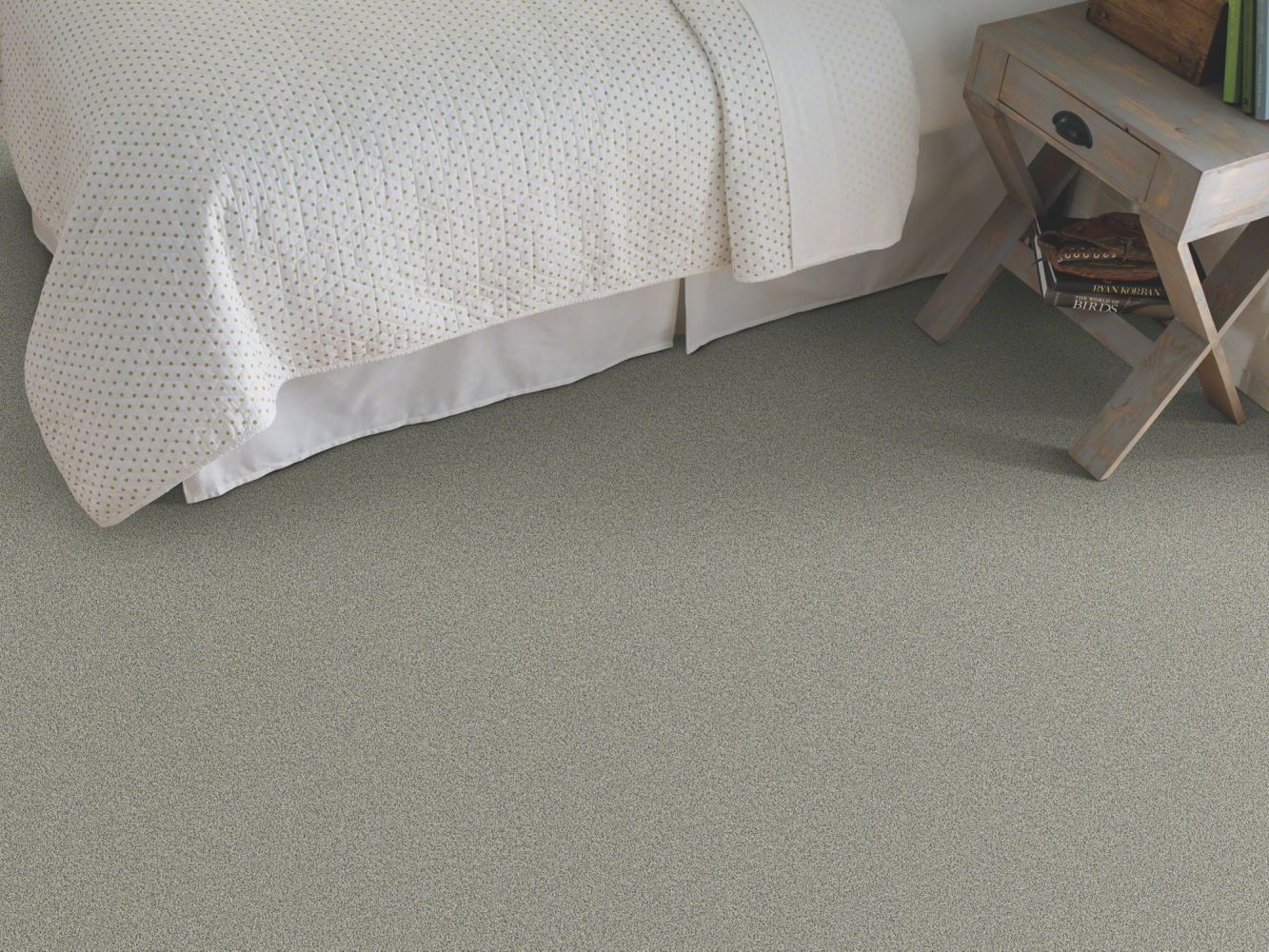Shaw Floors Anso Colorwall Designer Twist Platinum (s) Fossil 00541_EA091