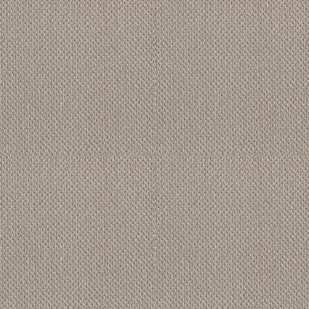Shaw Floors TRULY RELAXED LOOP Textured Canvas 00150_E0657