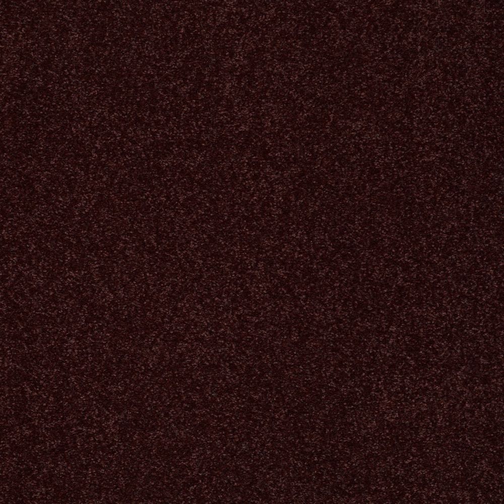 Shaw Floors Foundations SANDY HOLLOW CLASSIC II 15′ Rouge Red 00820_E0551