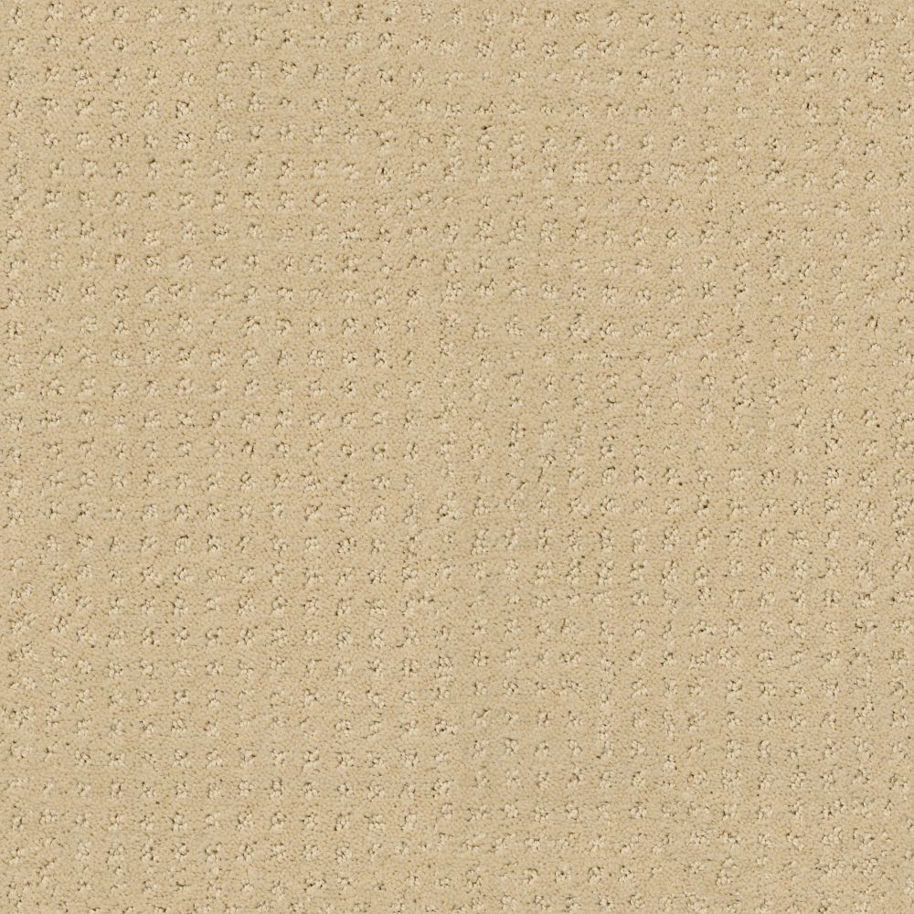 Shaw Floors MY CHOICE PATTERN French Linen 00103_E0653