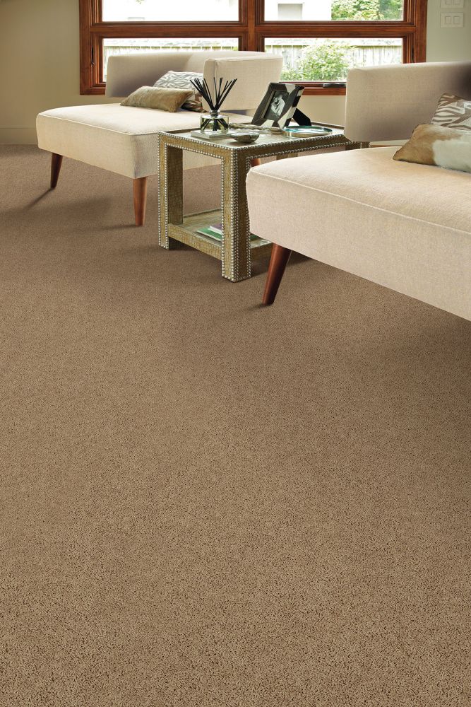 Shaw Floors Shaw On Shelf NORTH SHORE III Granola 00701_SOS35