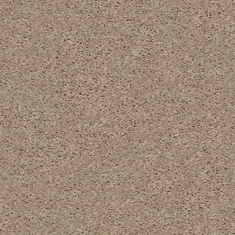 Shaw Floors LET’S GO (S) Natural Sand 00102_E0306