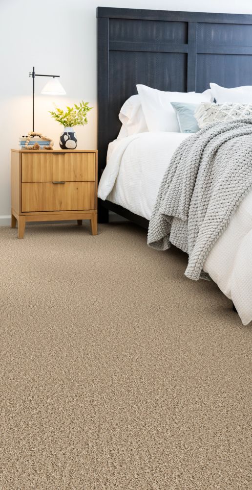 Shaw Floors GO BIG Pearlescent 00100_E0571