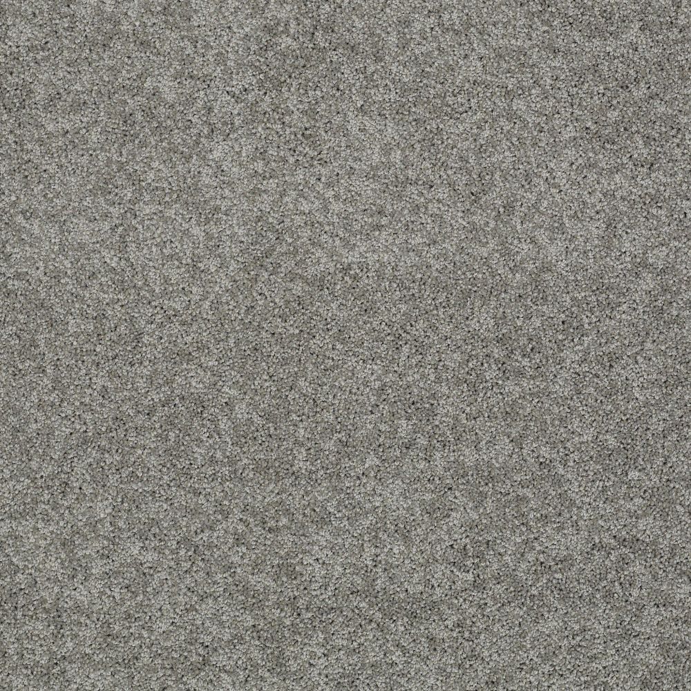 Shop Shaw Floors SFA My Inspiration II Fog 00753_EA560 Carpet ...