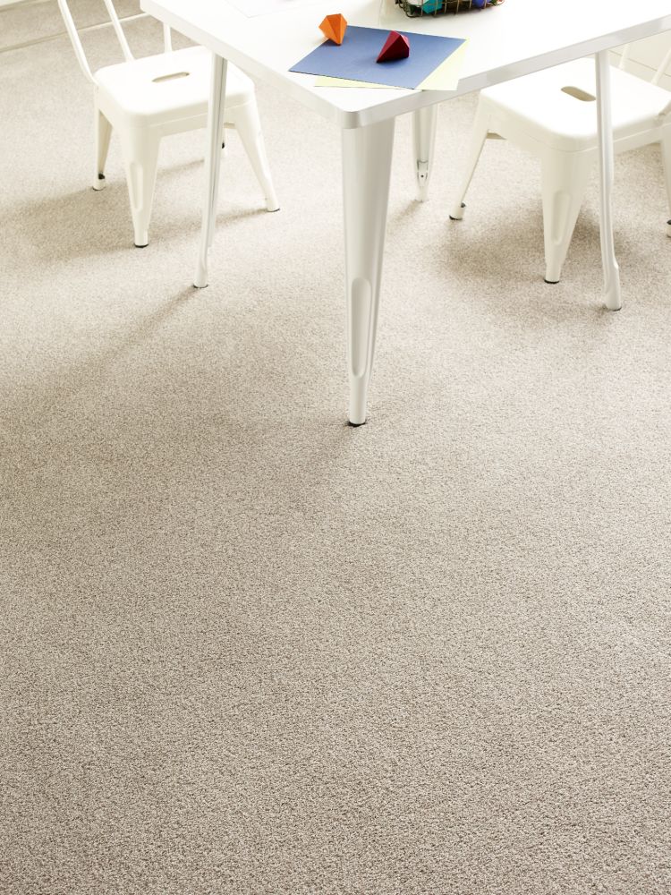 Shaw Floors Eco Choice SIMPLE COMFORTS TONAL I Restful Day (T) 512T_7B5S4