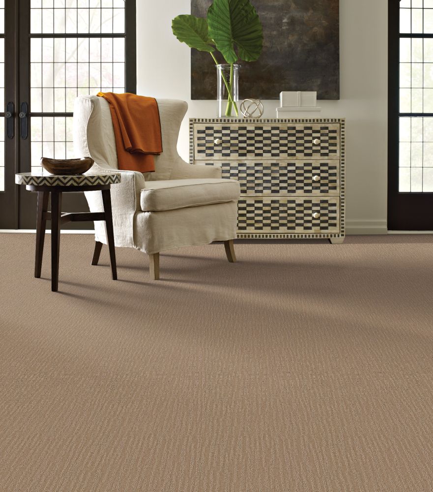 Shaw Floors Simply The Best Pacific Trails Sable 00754_E0824