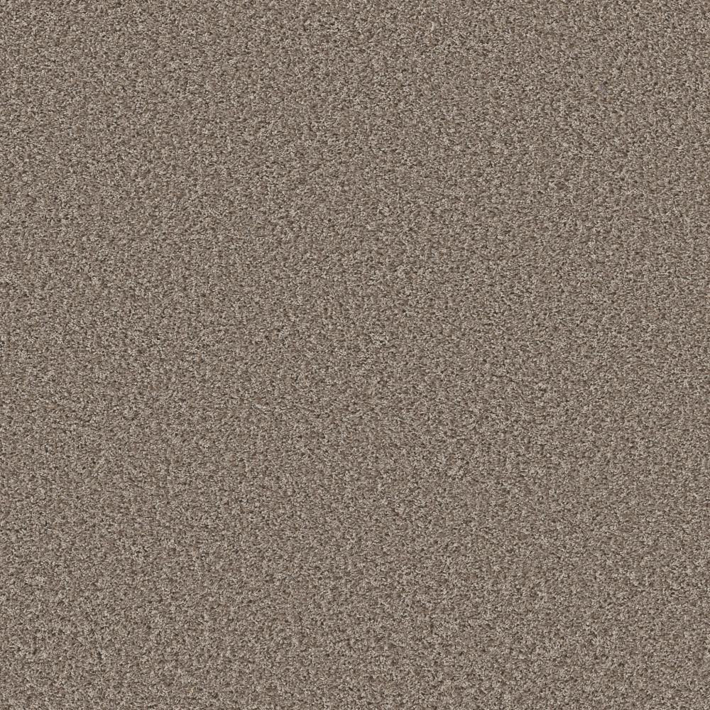 Shaw Floors COLOR FLAIR Tempting Taupe 00701_E0852