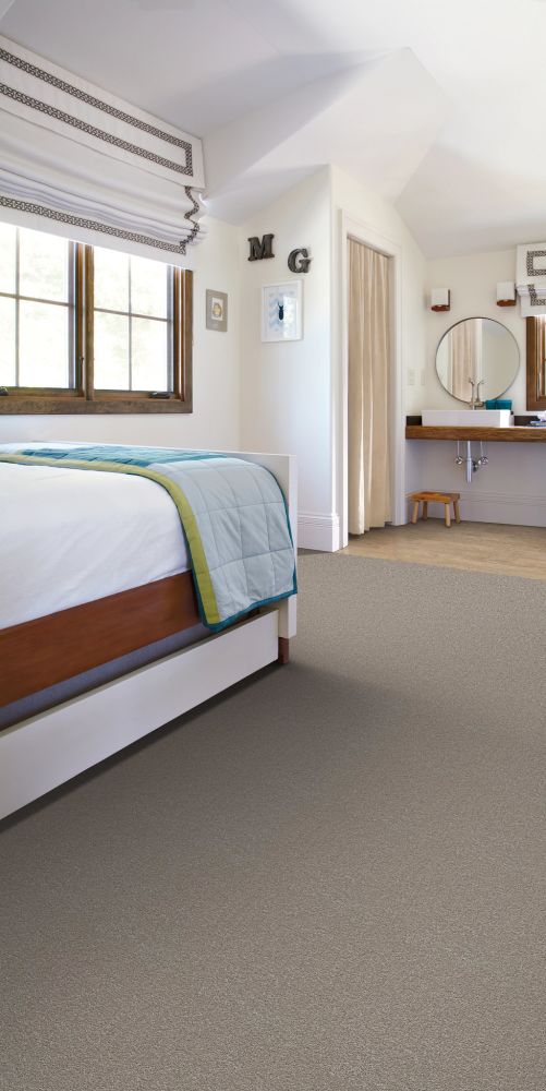 Shaw Floors Great Choice Sterling 00500_E9130