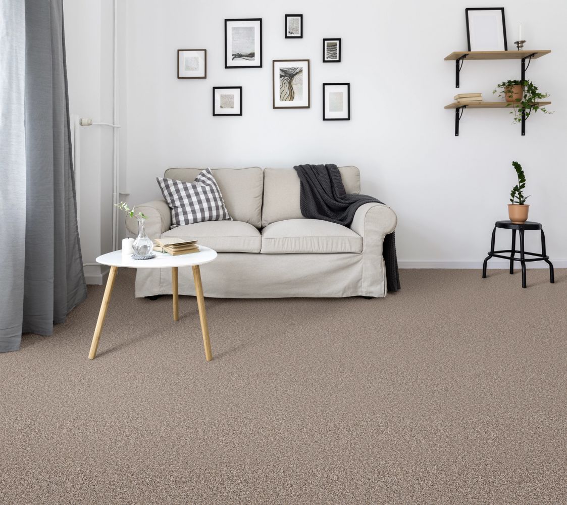 Shaw Floors Value Collections SHAKE IT UP TWEED NET Weathered 00101_E9858