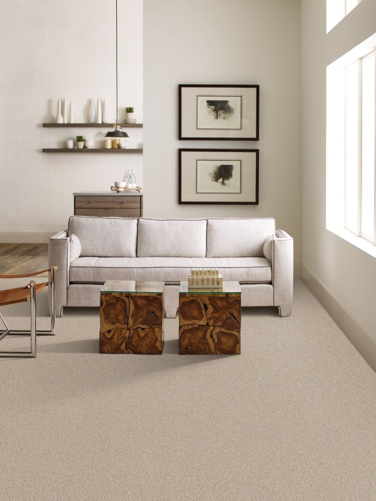 Shaw Floors Value Collections Shake It Up Tonal Net Stucco 00112_E9859