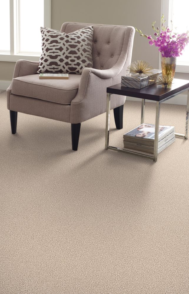 Shaw Floors Simply The Best All Set II Goose Feather 00101_E9875