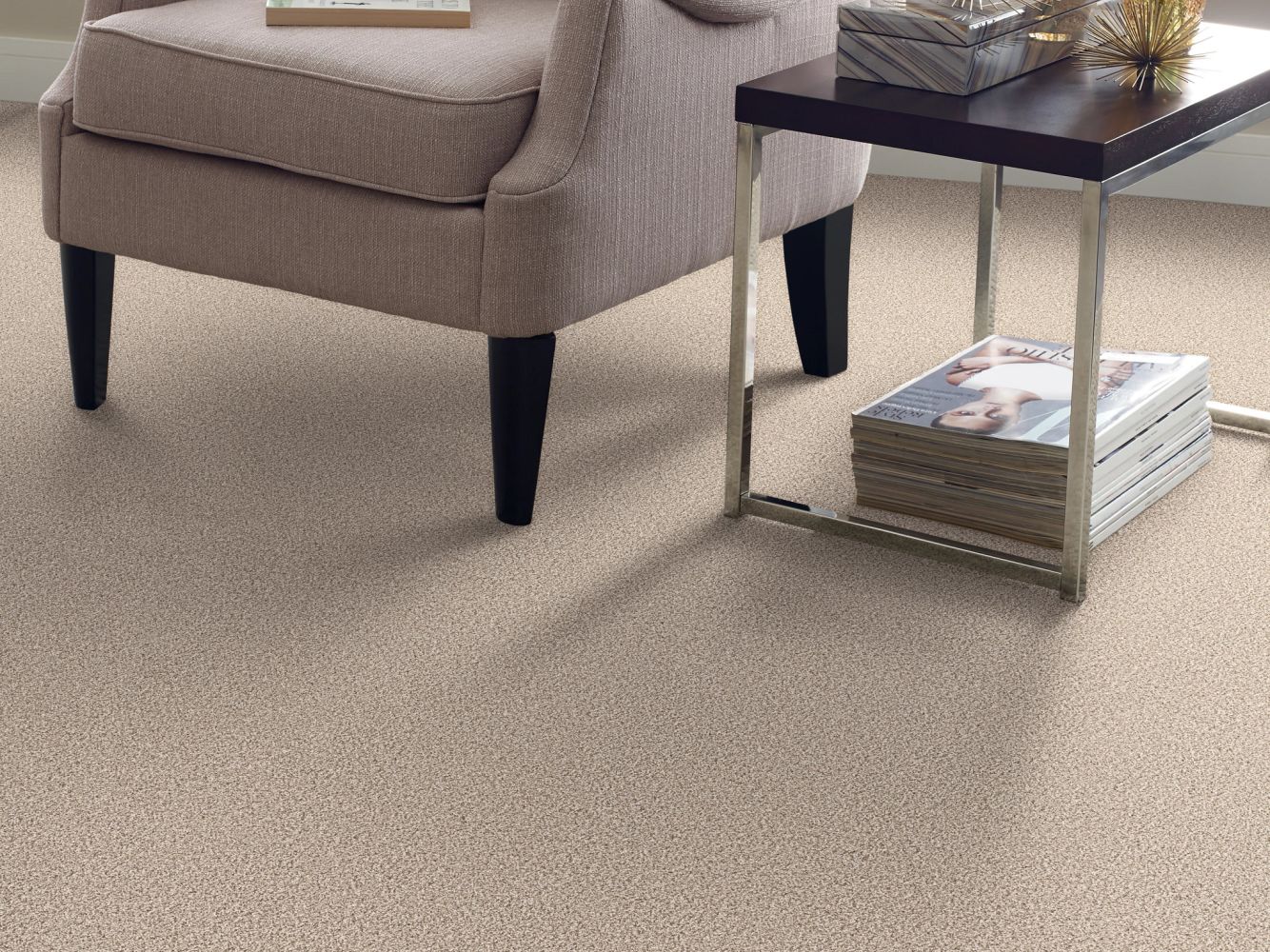 Shaw Floors Simply The Best All Set II Net Goose Feather 00101_E9895