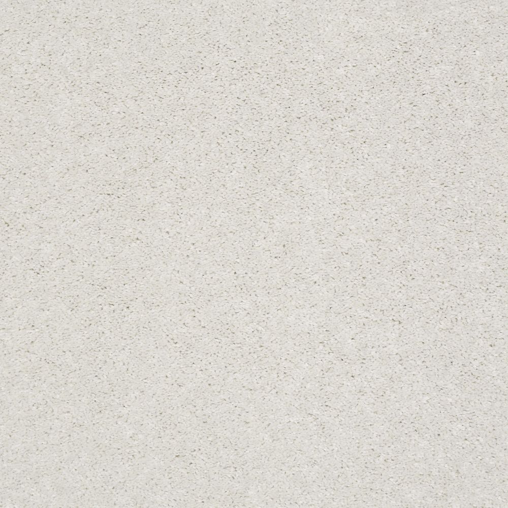 Shop Shaw Floors Simply The Best After All I Sugar Cookie 00121_5E044 Carpet Derailed