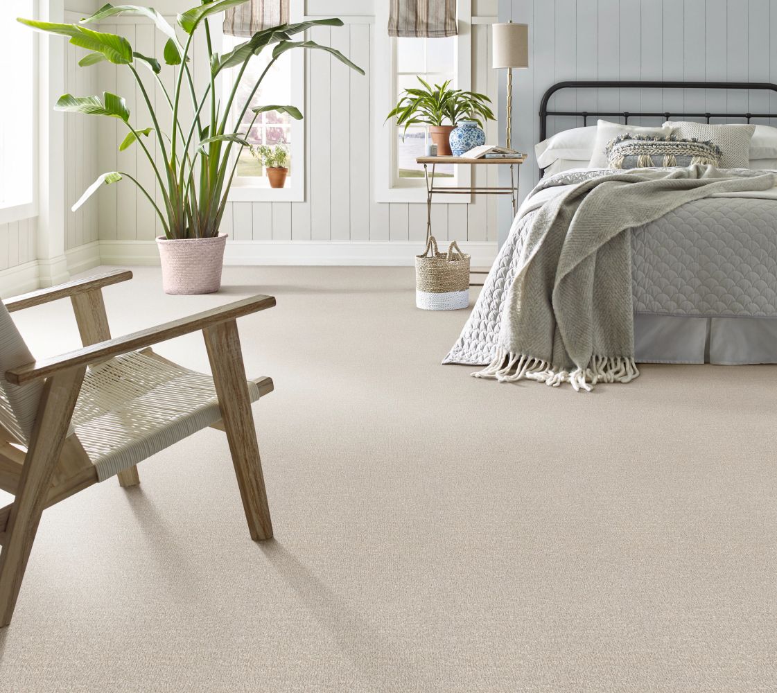 Shaw Floors Caress By Shaw Ombre Whisper Soft Spoken 00107_CCS79
