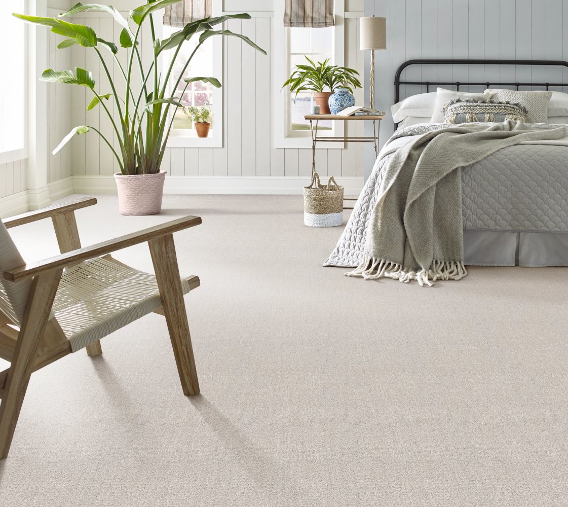 Shaw Floors Caress By Shaw Ombre Whisper Meditative 00501_CCS79