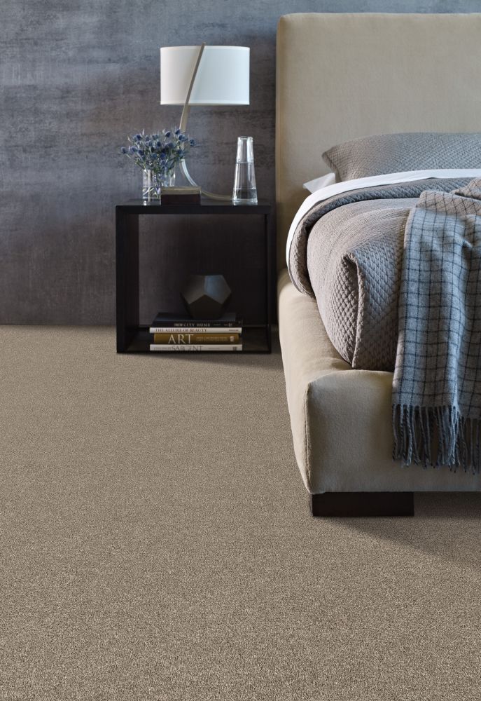 Shaw Floors Simply The Best Attainable Net Smooth Taupe 700S_5E094
