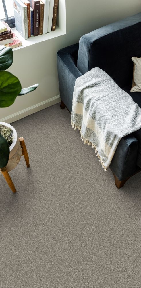 Shaw Floors Simply The Best Attainable Net Winter Dunes 123T_5E094