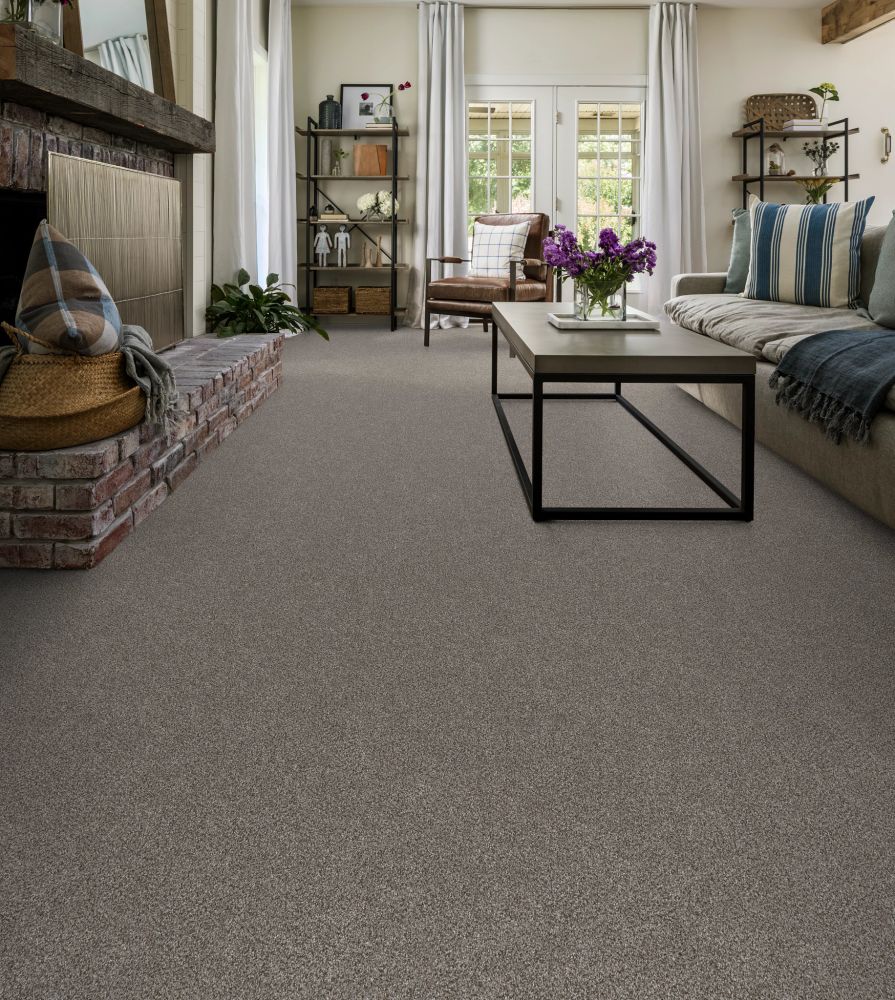 Shaw Floors Simply The Best MONTAGE I NET Spun Wool 130A_5E098