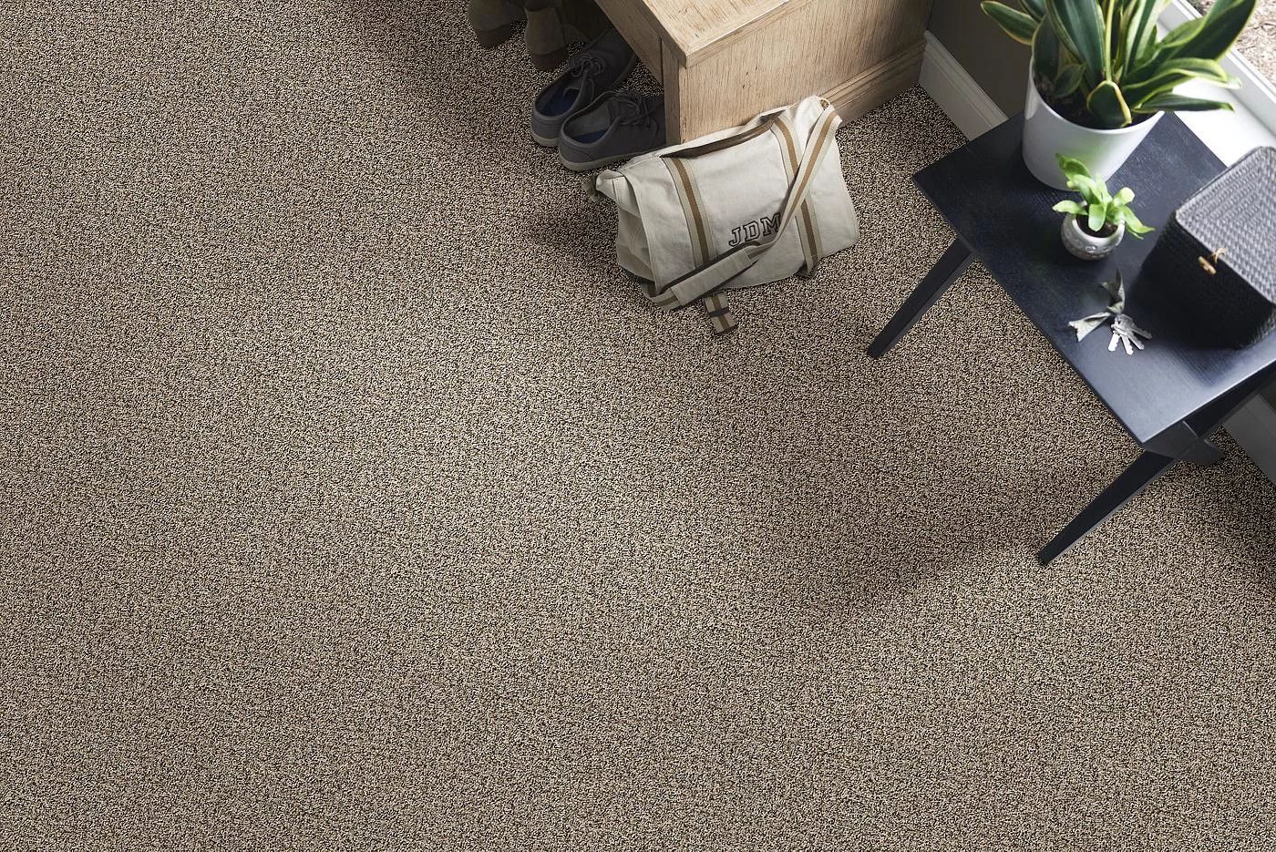 Shaw Floors Break Away (b) Burlap 00110_5E242