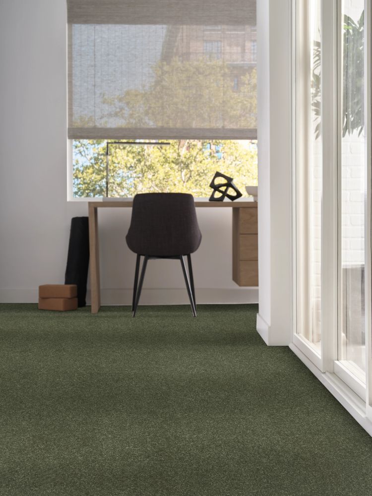 Shaw Floors Simply The Best Easy Spirit III 12′ Garden View 00310_5E866