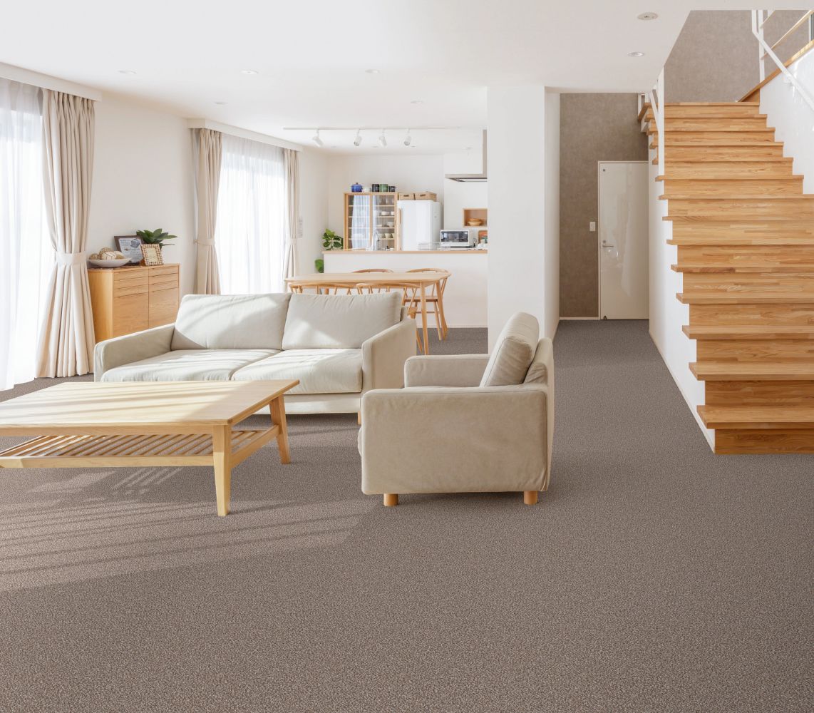 Shaw Floors Carpets Plus Casual Comforts LIMELIGHT I Cobble Drive 00510_7P0LS