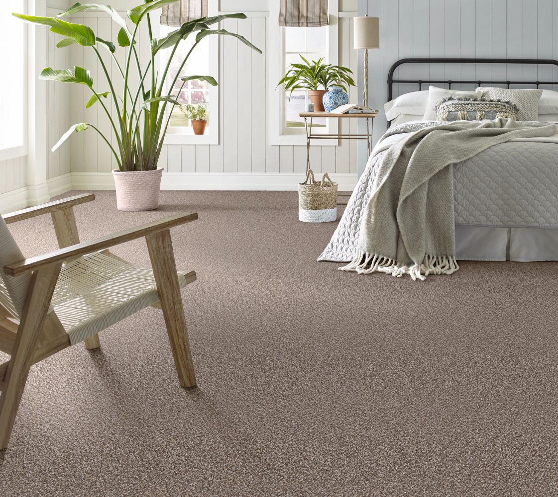 Shaw Floors Carpets Plus Casual Comforts LIMELIGHT II Cobble Drive 00510_7P0LT