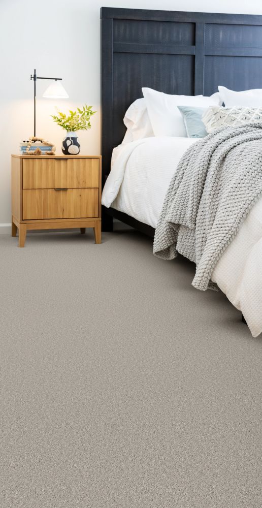 Shaw Floors Simply The Best SMOOTH TALK II Silver Mist 00540_5E579