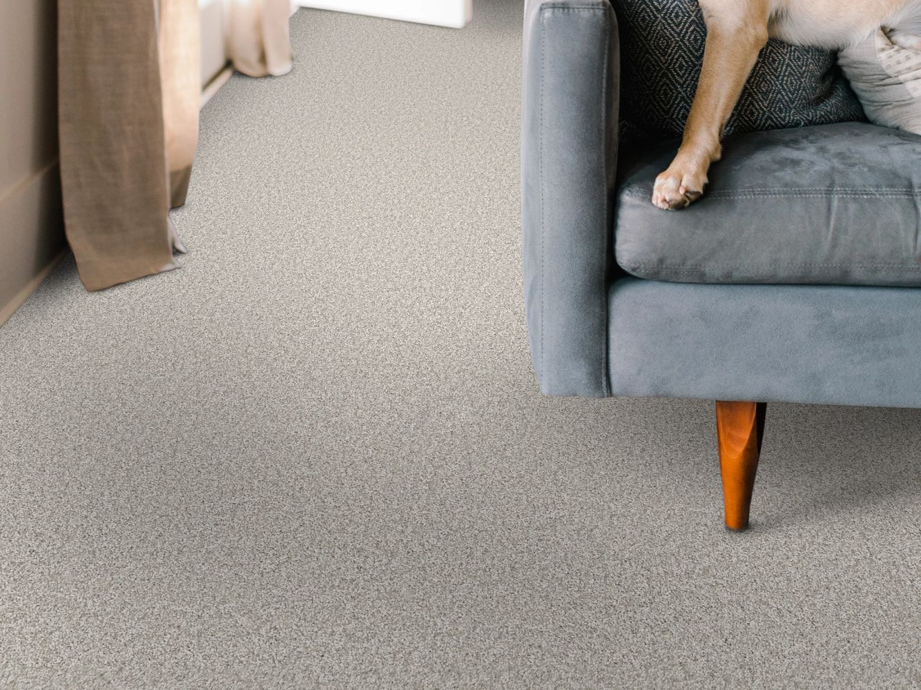 Shaw Floors Pet Perfect You Got This I Frozen 00107_5E560