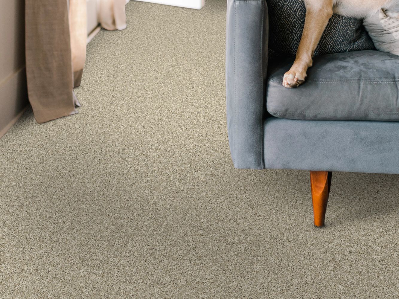 Shaw Floors Pet Perfect You Got This I Natural 00109_5E560