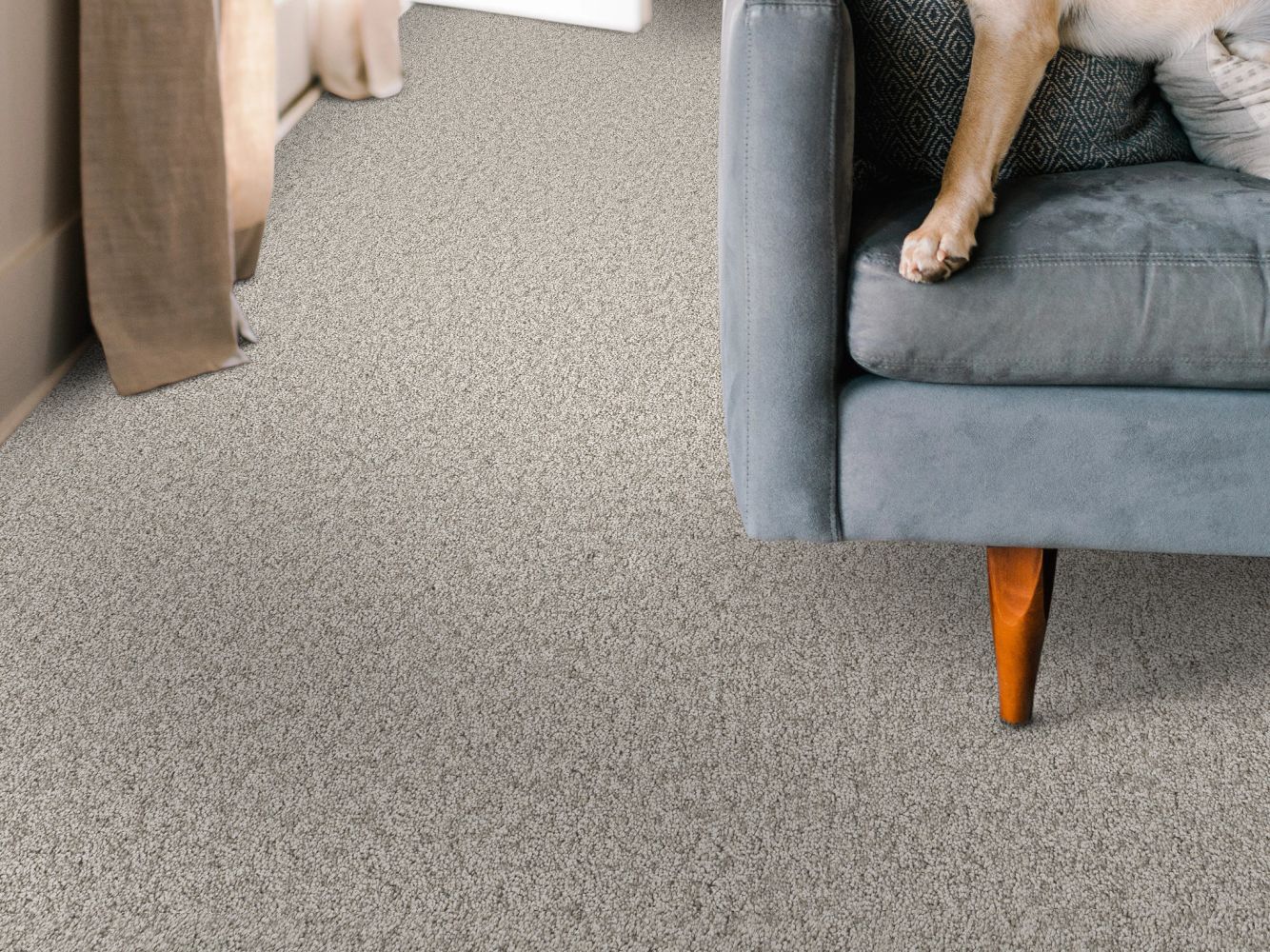 Shaw Floors Pet Perfect You Got This I Chic Greige 00111_5E560