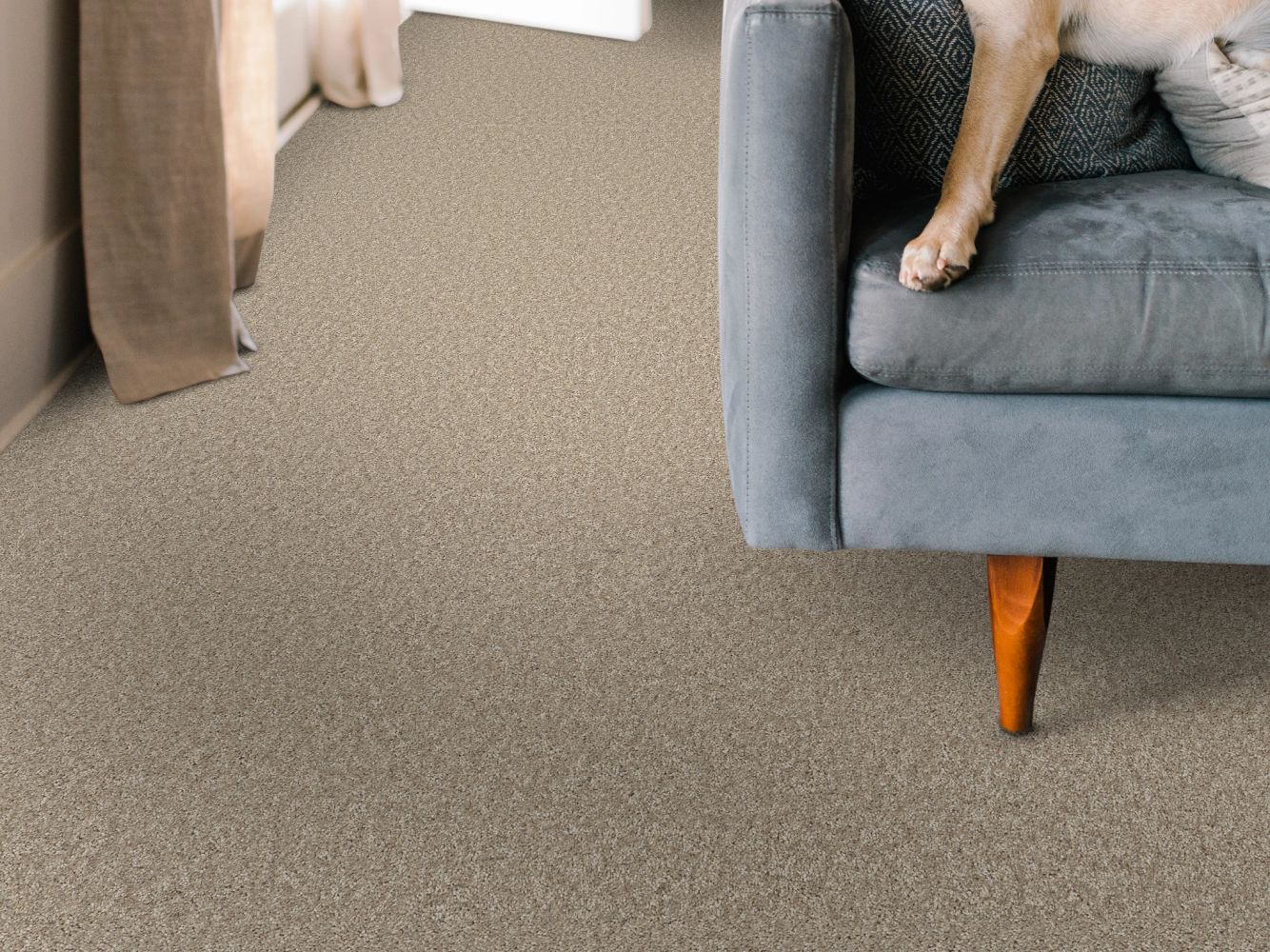 Shaw Floors Pet Perfect You Got This I Subtle Clay 00114_5E560